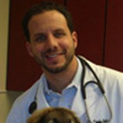 The Best Vets in Highland Park